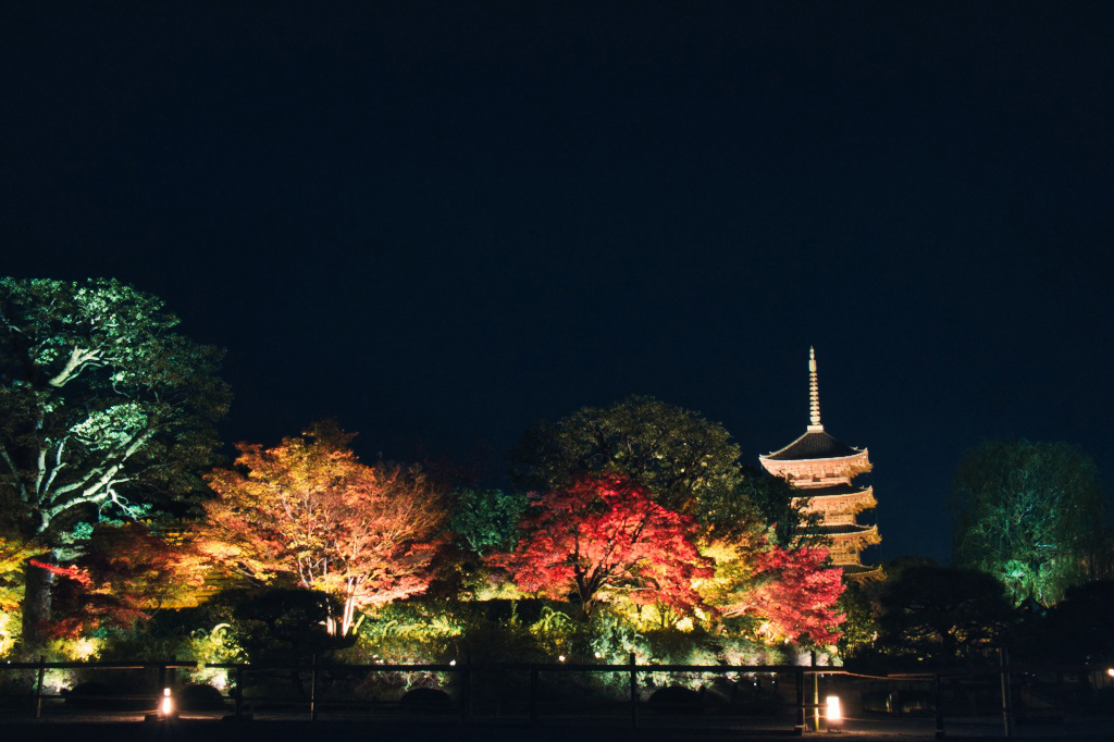 ◆京都・錦秋の散策【11月】紅葉と光が織りなす幻想的な世界